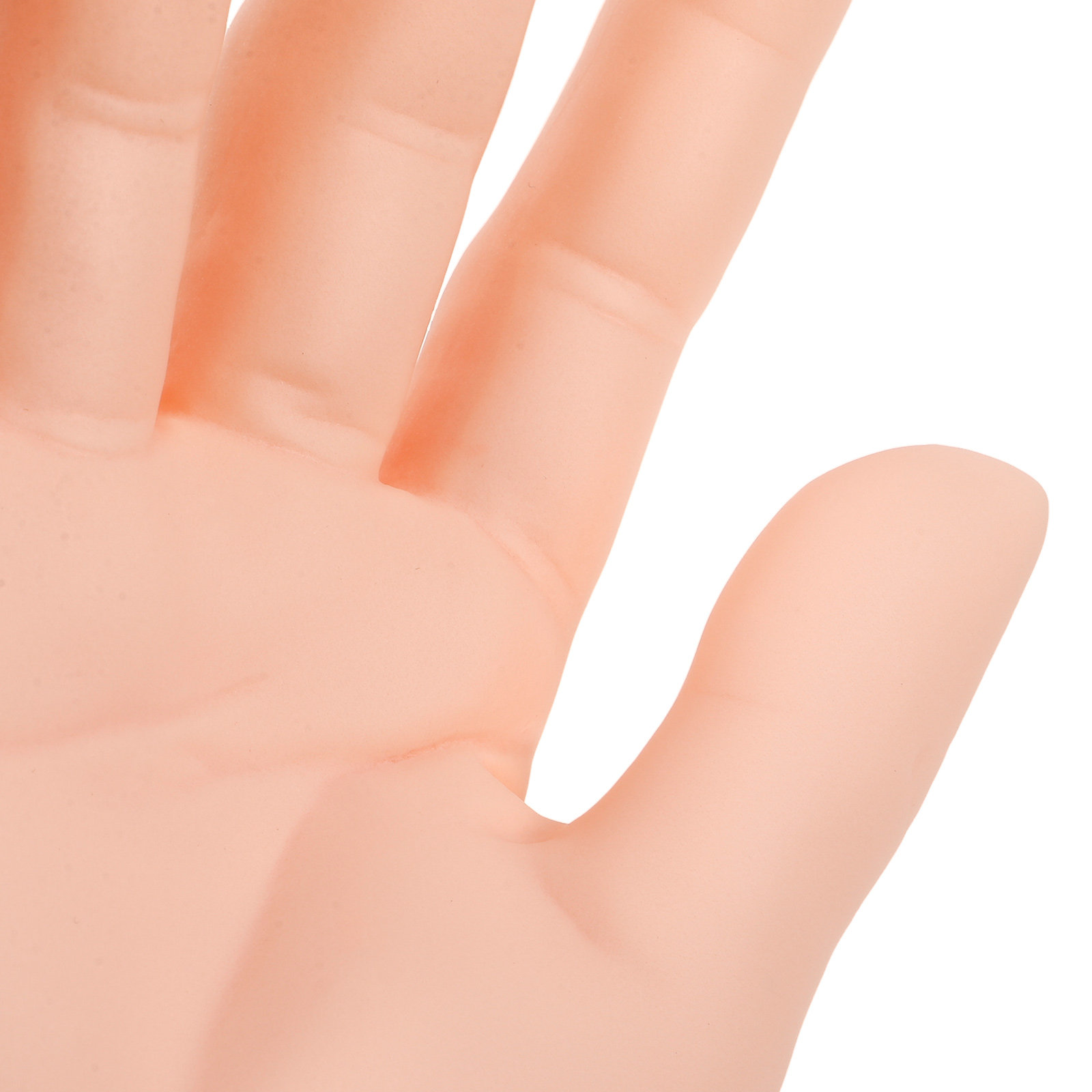 Männlicher Hand-Mannequin, rea – Jewelry For Watches Bewertung und Preis