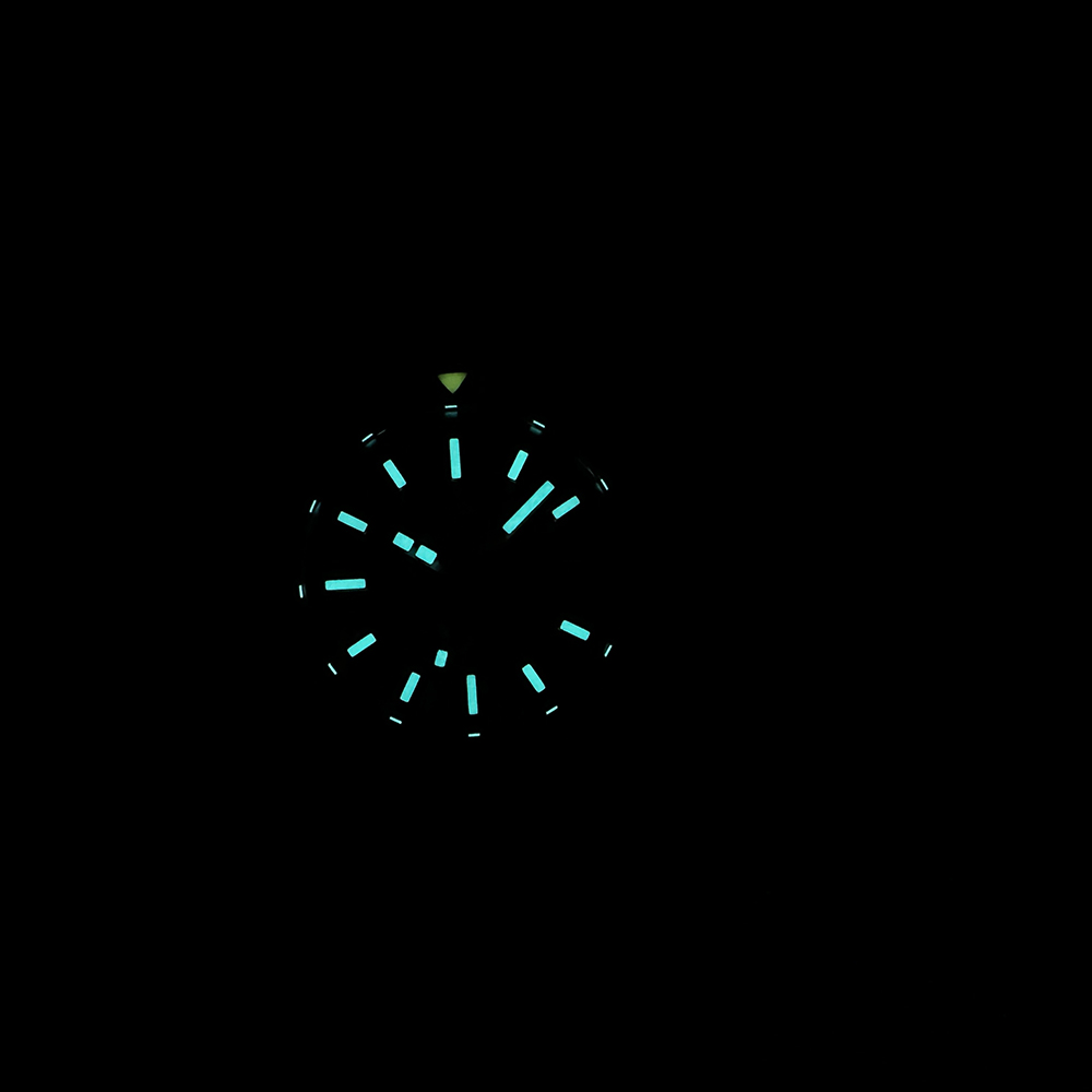 STEELDIVE Offizielle SD1927 BG – Seiko Watch Prospex Bewertung und Preis
